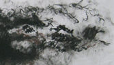 draw2
